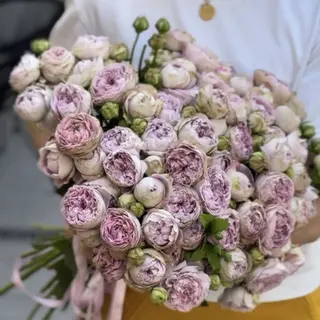 21 кущова піоноподібна троянда Блоссом