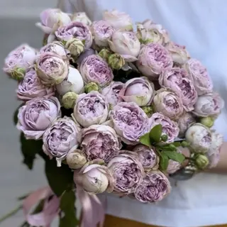 11 кущових піоноподібних троянд Блоссом