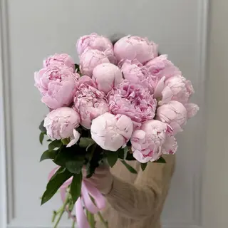 15 голландських рожевих півоній