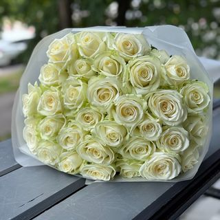 Біла троянда 31 шт