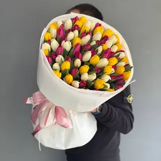 101 тюльпан мікс