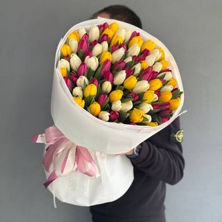 101 тюльпан мікс