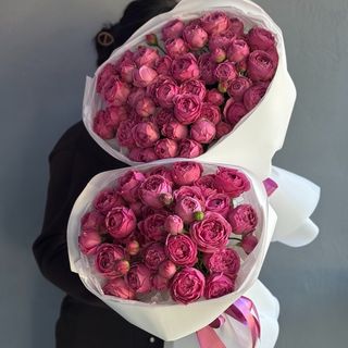 Кущової троянда півоноподібна Місті Баблз поштучно