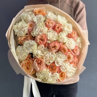 Троянда Еквадор Shimmer + Cotton cotton Expression