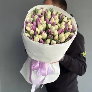 101 біло лавандовий тюльпан