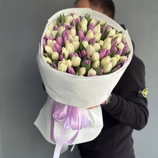 101 біло лавандовий тюльпан