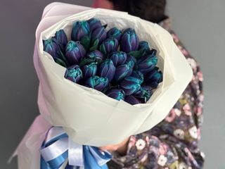 25 космічних тюльпанів