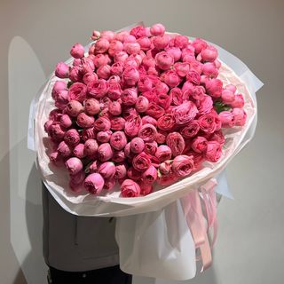 51 кущова троянда