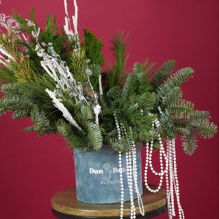 Композиція з різних видів хвої