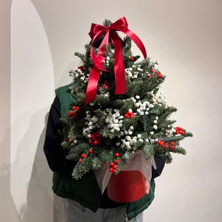 Ялинка з живої хвої