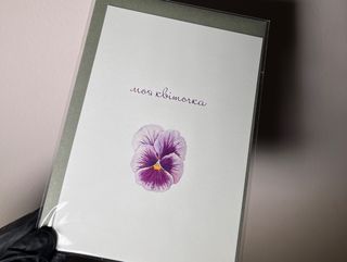 Листівка велика