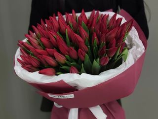 Букет №12 тюльпан 101 шт strong love