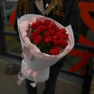 Тюльпан Escape 25 шт