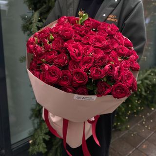  Pushkin Нідерланди 27 шт