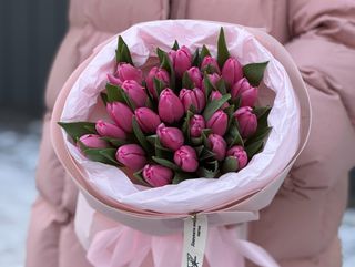 Букет №18 тюльпан 25 шт christmas dream