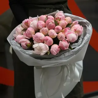 25 півоній Гарденія