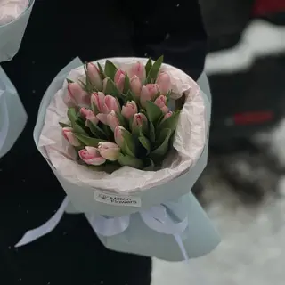Тюльпан Dynasty 21 шт