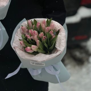Тюльпан Dynasty 21 шт