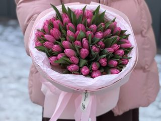 Букет №19 тюльпан 51 шт christmas dream