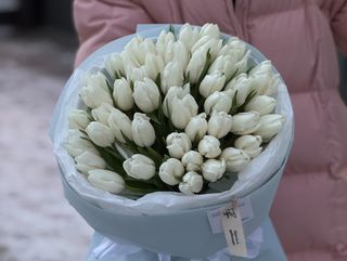 Букет №7 Тюльпан polar bear 51 шт