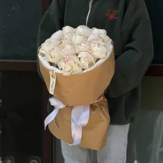 Півонія мазер чойс -15 шт