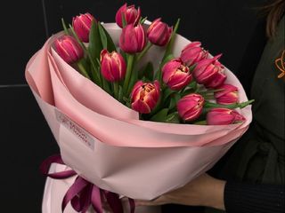 Букет №13 15 тюльпанів Colunbus