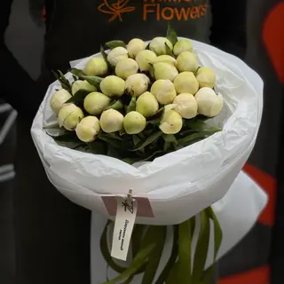 Півонія Дюшез 25 шт