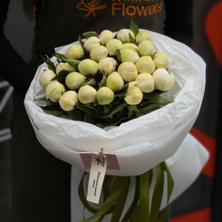 Півонія Дюшез 25 шт