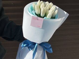 Букет №5 Тюльпан 15 шт polar bear