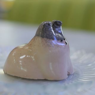 Панакотик шоколадний 