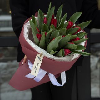 Тюльпан ille de france 15 шт