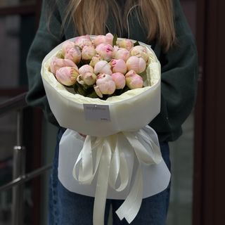 Півонія Гарденія - 21 шт