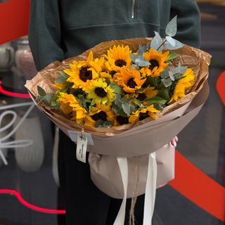 Соняшник Orange Нідерланди - 15 шт