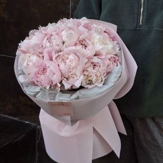 Півонія Алерті 15 шт