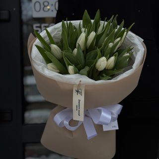 Тюльпан polar bear 19 шт