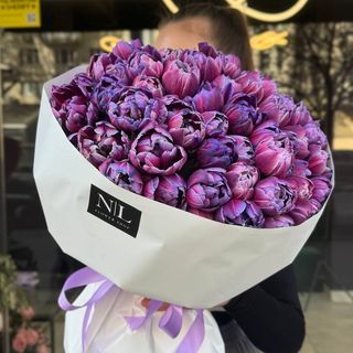 51 космічний тюльпан