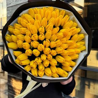 101 класичний жовтий тюльпан