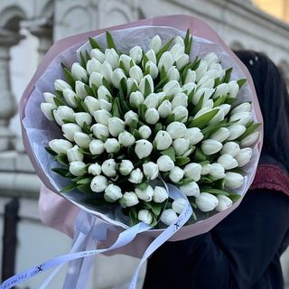 101 класичний білий тюльпан