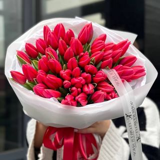 51 класичний малиновий тюльпан