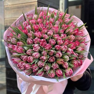 101 піоновидний тюльпан Flash Point