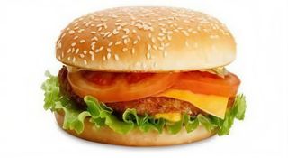 Чізбургер з індичкою (280г)