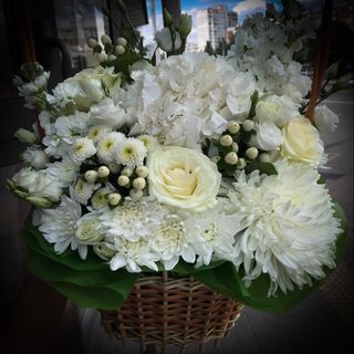 Корзина REI. Розмір XL