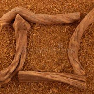 Баністеріопсис каапі (ліана) сухий порошок