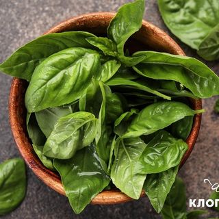 Базилік свіж. (10г.)