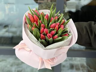 Тюльпан Afrodita 31 шт