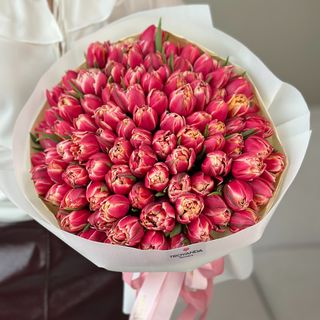 101 тюльпан КОЛУМБУС в пакванні