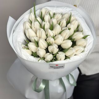 55 білих тюльпан в білому пакуванні