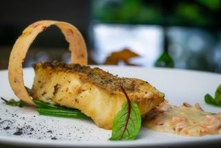 Філе судака з креветочним соусом (140/30/30г)