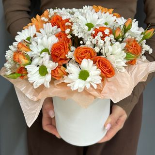 Композиція «Маріо, Домініка та гіпсофіл»