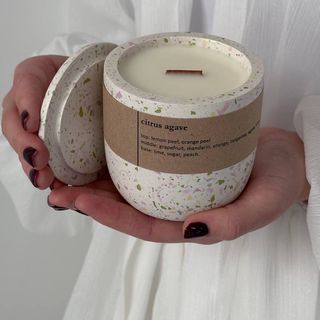 Свічка " Цитрусова агава"